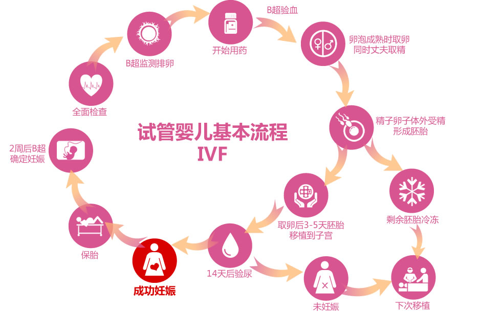 供卵手术流程及法律规定